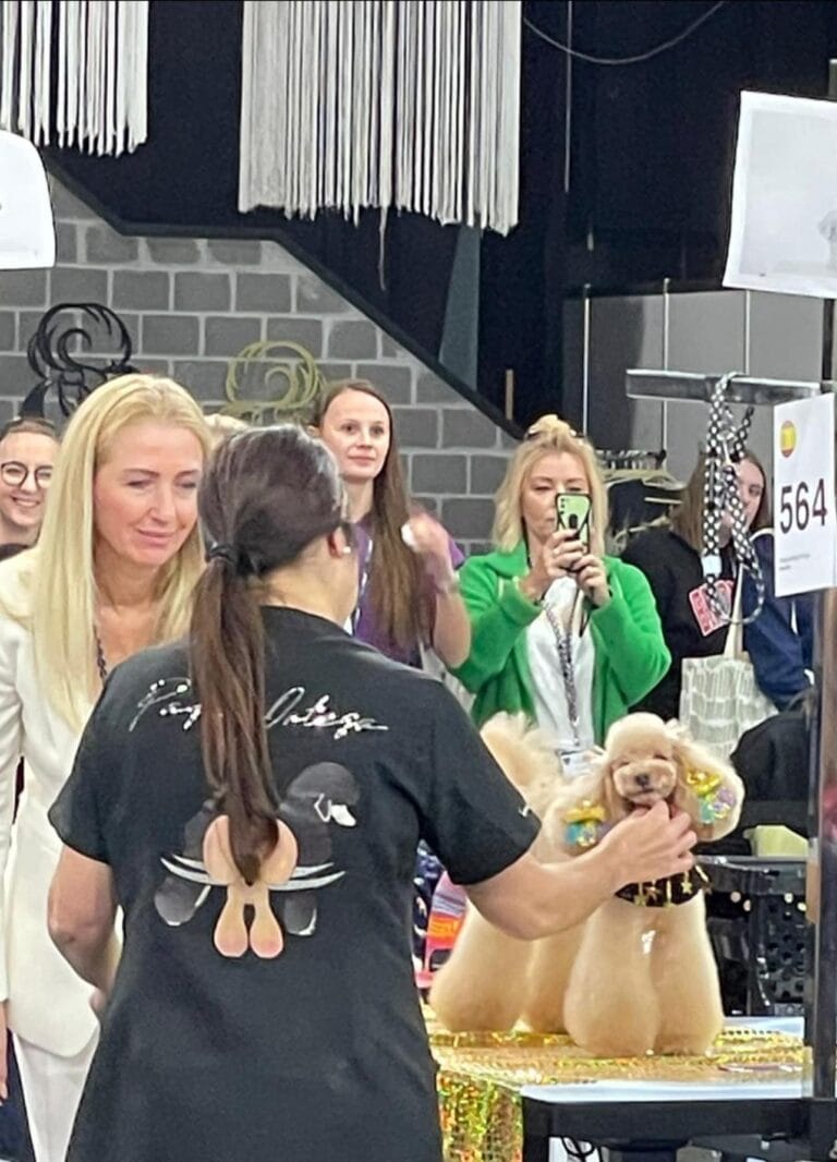 Paqui Ortega de Lovely pedigre con caniche corte asiático