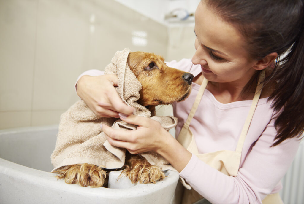 Como hacer el grooming en casa