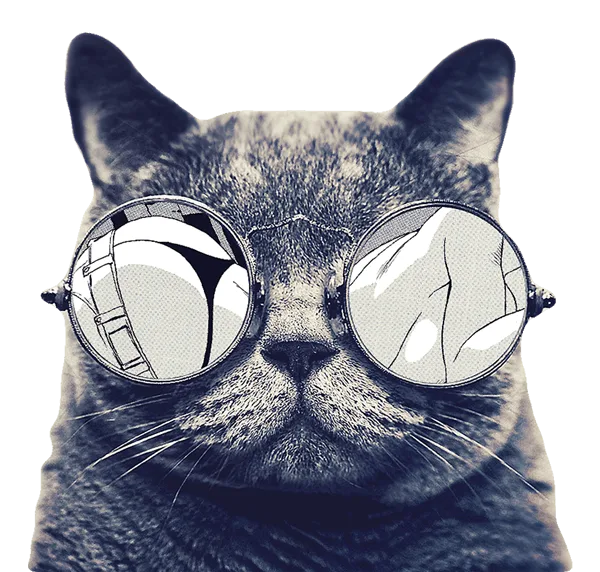 Gato