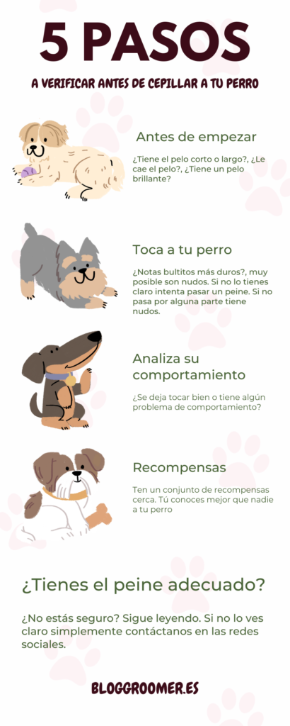 Infografia Educa a tu perro ilustrado naive divertida sencilla verde 1 ¿Cómo cepillar a mi perro en casa?