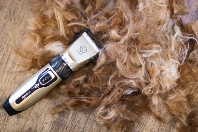 Maquinas de cortar pelo de perro