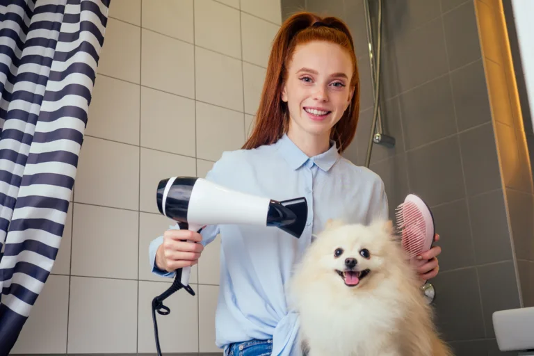 como secar a mi perro, Iniciando en la Peluquería Canina