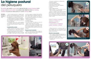 higiene postural peluquero canino 