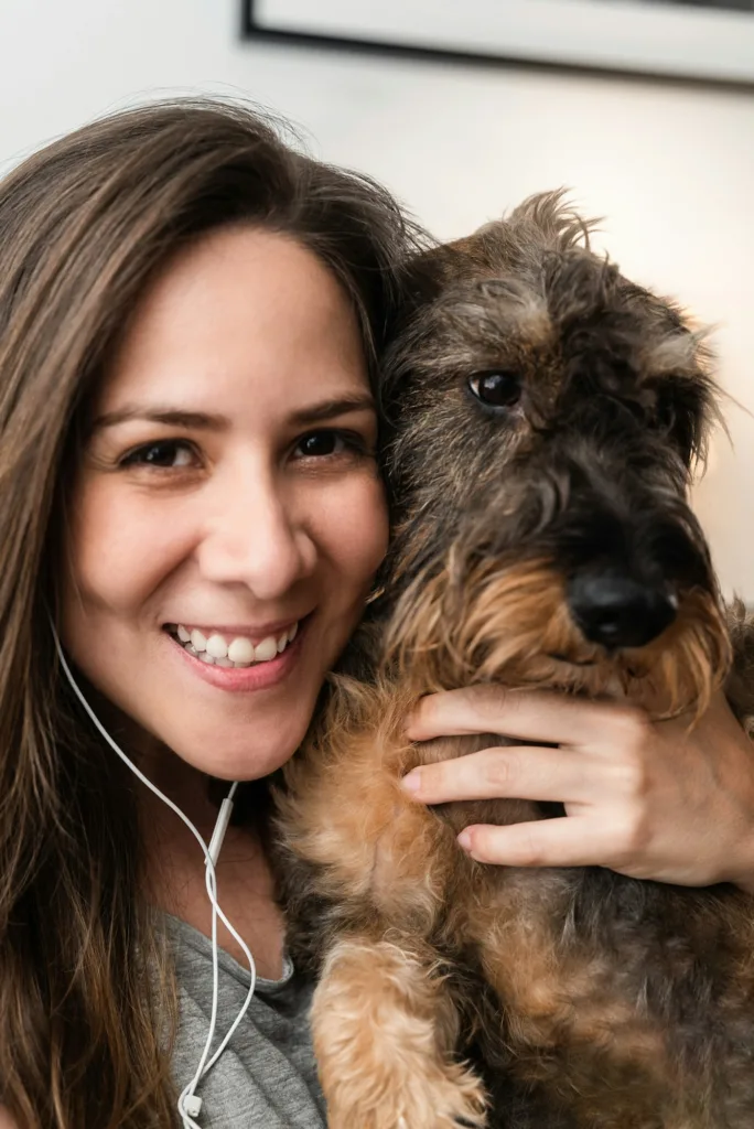 Dachshunds, perros salchicha