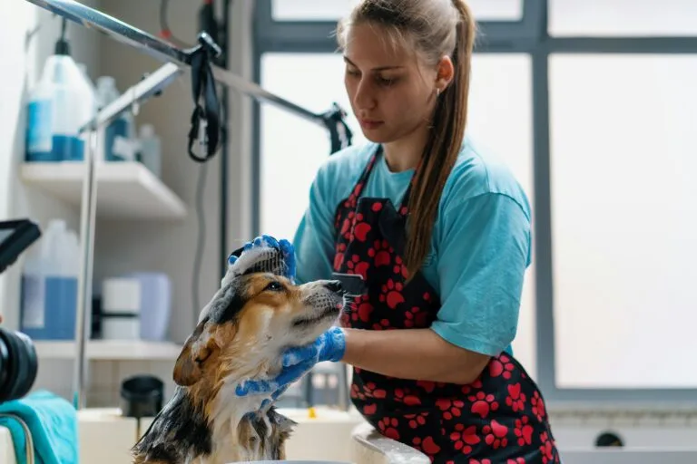 peluquería canina cerca de mi, groomer, Peluquero canino bañando a un perro que lo está disfrutando