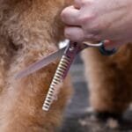 tijeras peluquería canina, chunkers, tijeras grooming