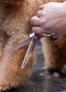 tijeras peluquería canina, chunkers, tijeras grooming